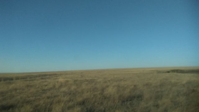 Едем в исчезнувшую деревню Богдановка, Перелюбский район.