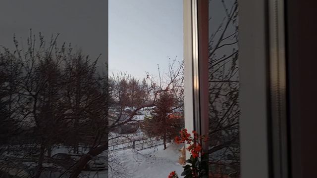 Влог: Мой морозный Февраль. Вязала, распускала ❄️🌞❄️