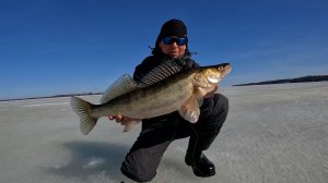 СУДАКИ КАБАНЫ ПО ПОСЛЕДНЕМУ ЛЬДУ 2026. Весенняя рыбалка на судака со льда.