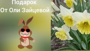 03-04-2026 АРОМАТНЫЙ ПОДАРОК ОТ ОЛИ