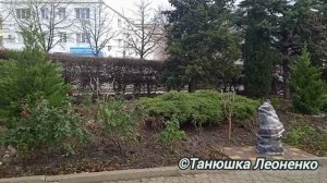 Отдых в Крыму