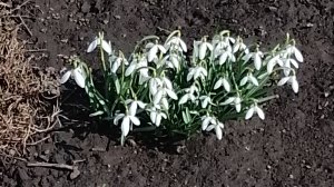 Гуляем ,болтаем