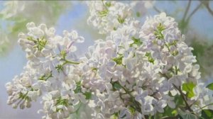 Одинокая ветка сирени