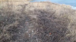 НА ПОПЛАВОК КАРАСЬ. РАЗВЕДКА 3. АПРЕЛЯ 26.