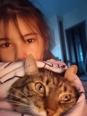 я считаю до миллиона