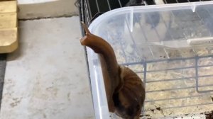 Горный улус Туризм