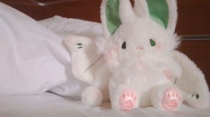 любимоя сколя