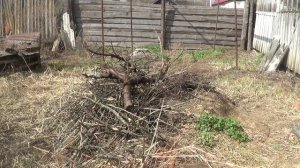 ОЧИСТКА ДВОРА 💥 ЧТО ВЫПОЛНЕНО 💥ПОДПИШИСЬ