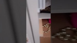 котики