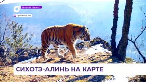 Сихотэ-Алинь на карте: заповедник готовится принять более 5 тысяч туристов в 2026 году