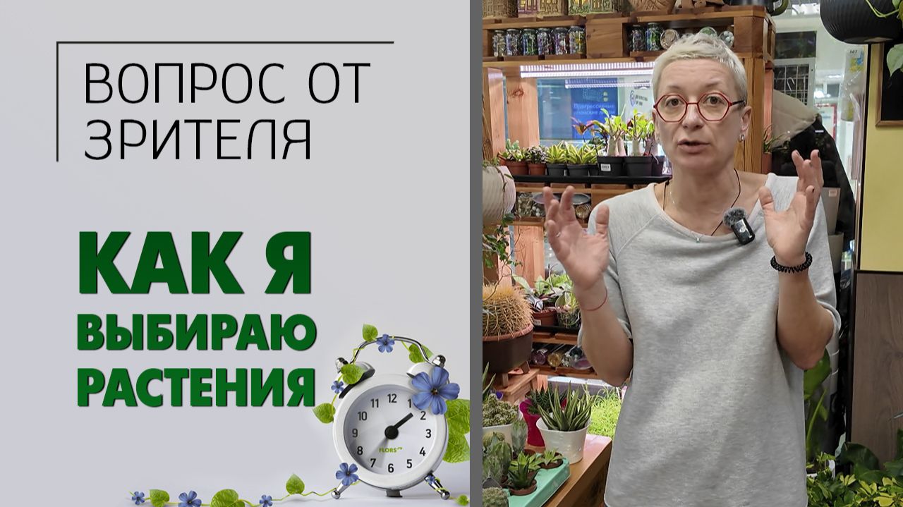 Вопрос-ответ: как Вы выбираете цветы для продажи: посещая Нидерланды или просматривая какой-то сайт.