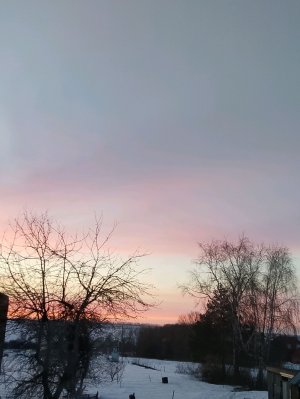 рисуем с Хади киви🥝🥝