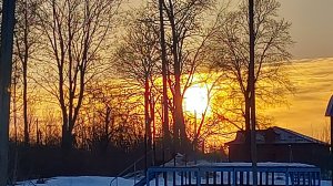 бумажные коллекции