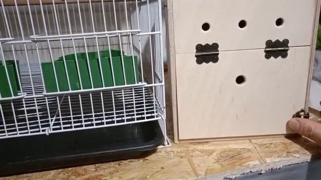 Видео от покупателя гнёзд.