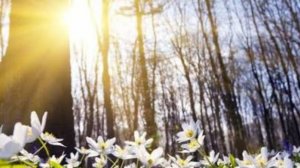 СП Добиваю недовязы 5/2026 Отчёт 14 с Мариной Стоговой