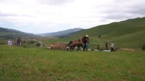 Выпечка свежего хлеба.