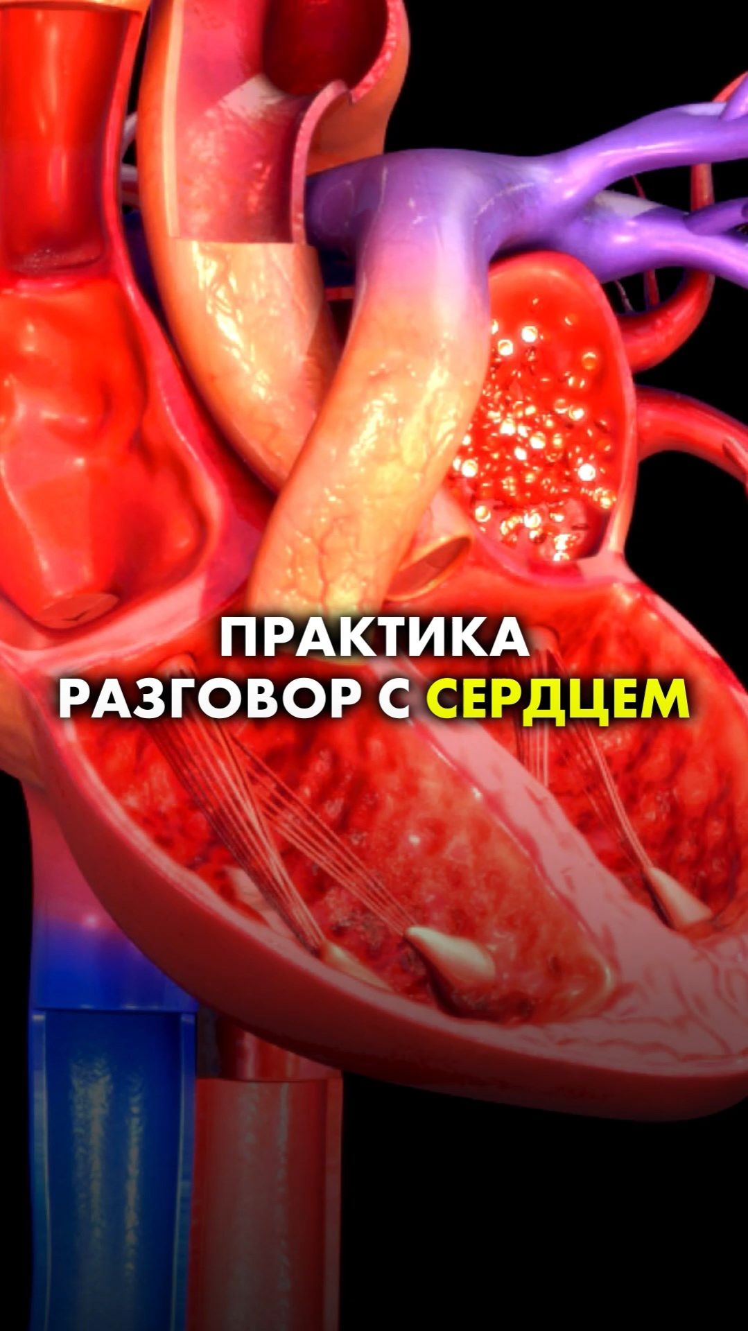 ПРАКТИКА РАЗГОВОР С СЕРДЦЕМ