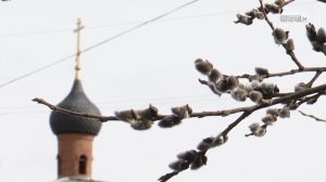 Не просто веточки: что мы отмечаем в Вербное воскресенье