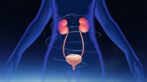 Матрица ГАРЯЕВА. Почки. Очищение и востановление. Видео с канала Soft_Radio на YouTube