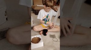 архидэйное дерево.mp4