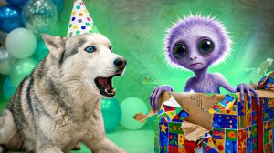 ДРЫСЯСИСЯ МОЙ ПОДАРОК НА ДР!? Хаски Бандит Говорящая собака