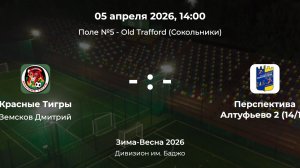 Дивизион им. Баджо. Красные тигры - Перспектива Алтуфьево 2(14-15). Детская лига CityFootball