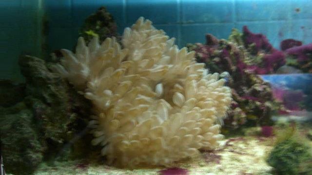 Египет 2007 версия 1.2 (работа Ивана Панкова)