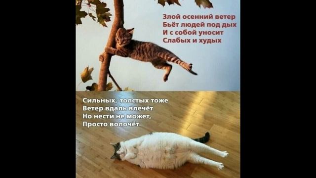 Весенний чай с малиной и лимоном