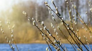 Все начинается весной.. 🎵Песня классная!