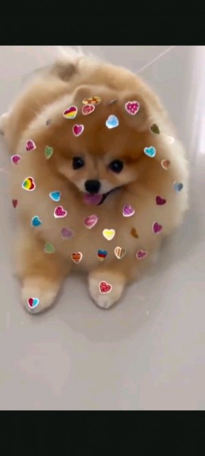 канал Машуля название видео Я гуляю