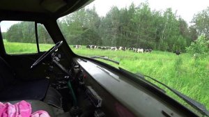 Влог от 26.06.2022