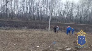 Автобус с детьми попал в аварию в Петровском районе