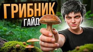 ЛУЧШАЯ РАБОТА на МАДЖЕСТИК РП ДЛЯ НОВИЧКОВ - ГРИБНИК ПОЛНЫЙ ГАЙД