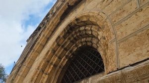 Цветок у Усыпальницы Пресвятой Богородицы растет из мраморной колонны