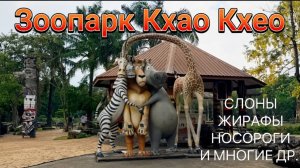 Приехали в зоопарк! Попали под дождь! Классный день и море эмоций!