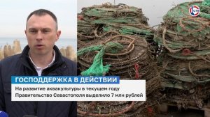 Владислав Шенявский о господдержке устричной фермы в Севастополе