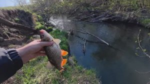 РУЧЕЙ 15 см, А РЫБЫ МНОГО Рыбалка в сказочном месте на спиннинг.