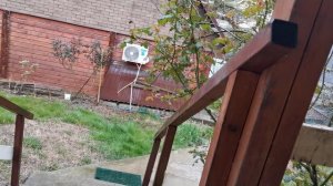 СОЧИ ГОРНОЕ ЛОО ВЕЧЕР 03.04.2026