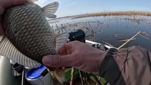 А я сомневался будет клевать карась Рыбалка на поплавок 2026!