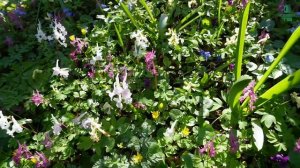 Железноводск. Весна