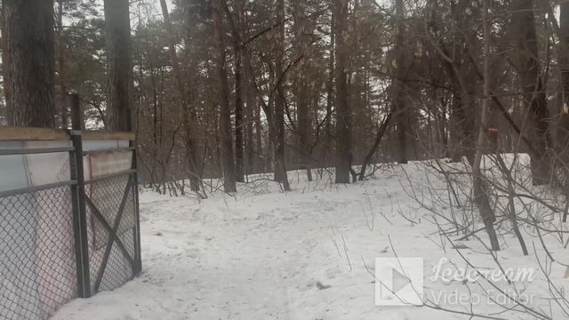 Как удержать в жизни баланс, оставаться при этом шикарной и работать