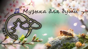 🌷Нежная музыка для души и весны | Успокаивающая природа для нервов и гармонии, Gentle music
