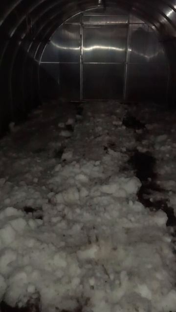 весенний снег в теплице...апрель)))