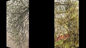 Весна в Можайске. Начало апреля.mp4