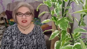 4 часть. Оп@рыши будут гнать самогон 🤦♀️❗️