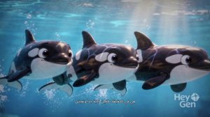 مغامرة الحيتان والدلافين كارتونanmy