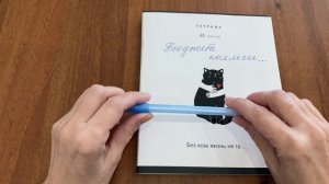 Аудит ‘бюджета коллеги ‘ где хвостик? Ответы на вопросы …