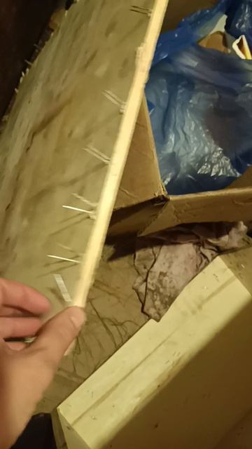 инкубация лакеданзи