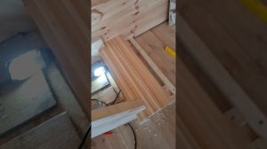 1000054958.mp4 (Собака наблюдает за устройством лестницы на 2-ой этаж в доме А-фрейм)