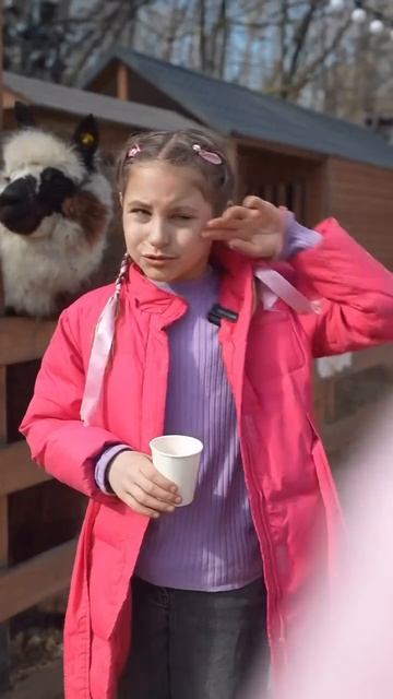 А вас когда нибудь целовала альпака? #pov #story #sofyakhomova #актрисасоня #детскийблогинг #блогпод